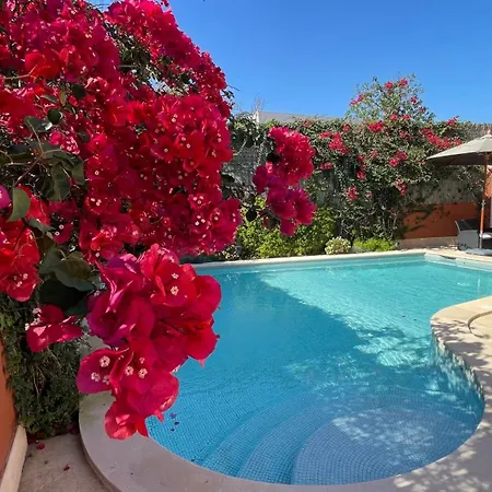 Apartment With Private Swimming Pool And Garden Cascais