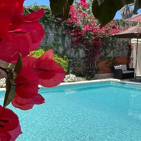 With Private Swimming Pool And Garden *