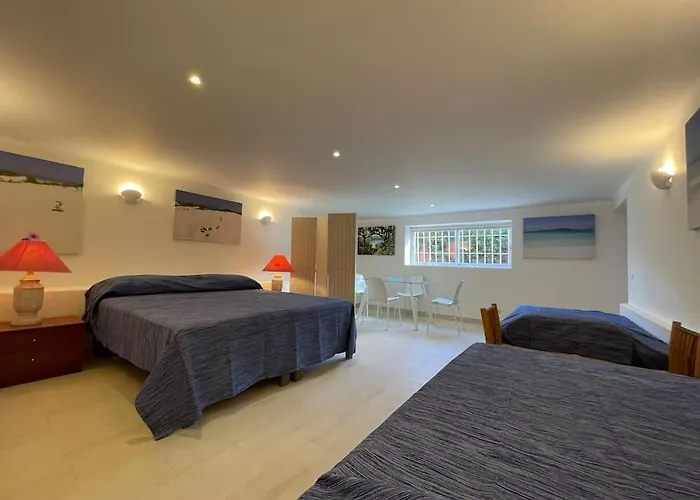 With Private Swimming Pool And Garden