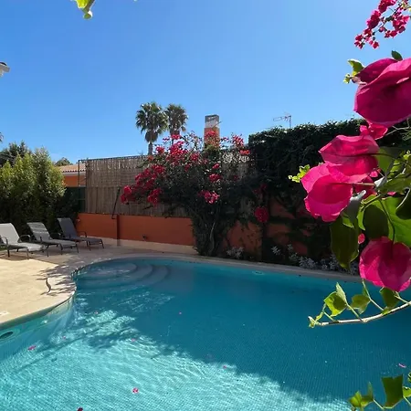 With Private Swimming Pool And Garden